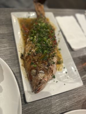 Roc South Cuisine by null Roc South Cuisine by null