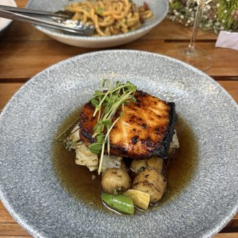 JOEY Valley Fair - Sake Glazed Chilean Sea Bass - Sushi Bars Near Me - Santa Clara, California JOEY Valley Fair - Sake Glazed Chilean Sea Bass - Sushi Bars Near Me - Santa Clara, California