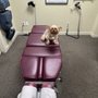 Photo of Rainier Valley Chiropractic
