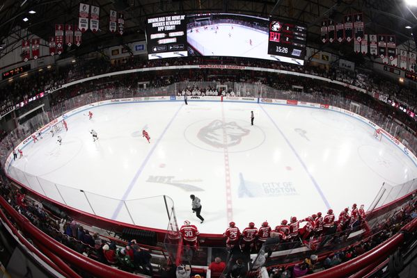 Matthews Arena Trusted Since 2009 Updated July 2025 35 Photos