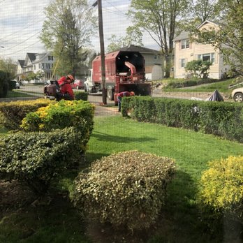 East Coast Tree Experts - Tree Services Near Me - Boonton, New Jersey East Coast Tree Experts - Tree Services Near Me - Boonton, New Jersey