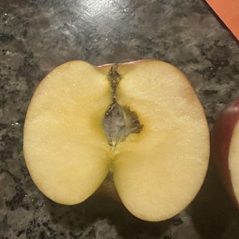 Panera Bread - Moldy apple - Salad Near Me - North Las Vegas, Nevada Panera Bread - Moldy apple - Salad Near Me - North Las Vegas, Nevada