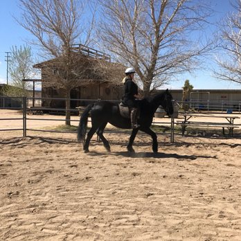Skye's the Limit Equestrian Center - Horseback Riding Near Me - Apple Valley, California Skye's the Limit Equestrian Center - Horseback Riding Near Me - Apple Valley, California