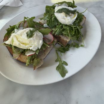 Tatte Bakery & Cafe | National Landing - Bakeries Near Me - Arlington, Virginia Tatte Bakery & Cafe | National Landing - Bakeries Near Me - Arlington, Virginia