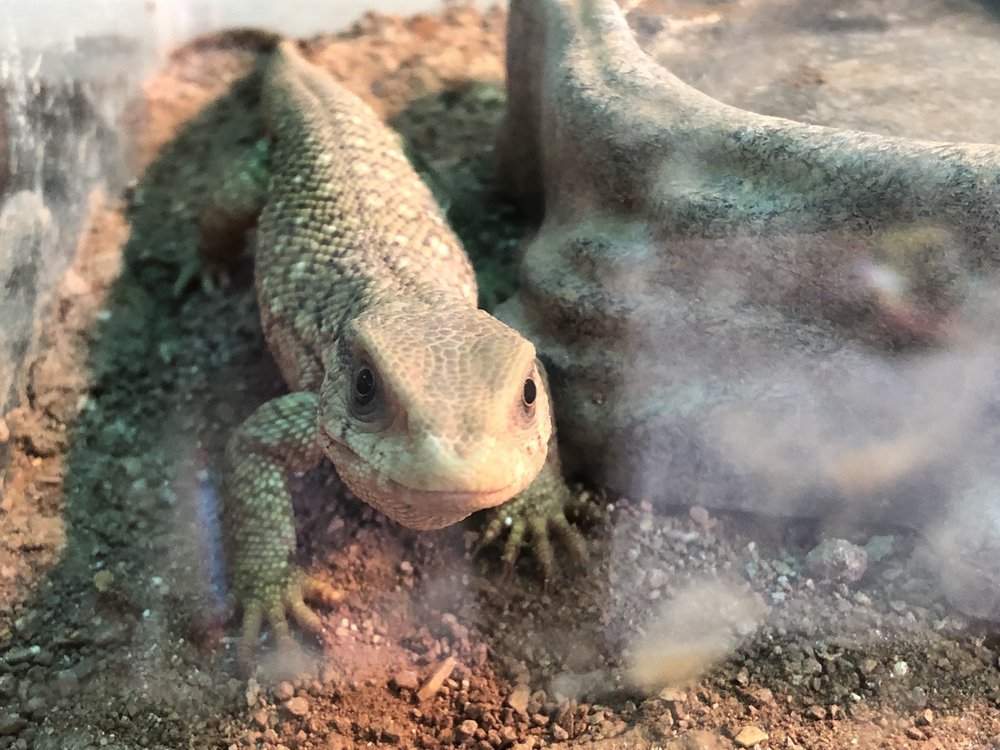 A’S AQUATICS AND PET STORE 22 Photos & 18 Reviews 6637 Post Rd