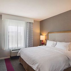 Hampton Inn & Suites Dallas/Richardson - Guest room