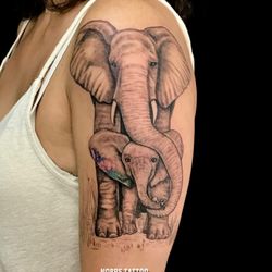 Nobre Tattoo - Tatuagem elefante com a cria