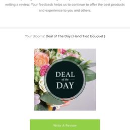 Amazing deal - Deal Of The Day  Hand Tied Bouquet