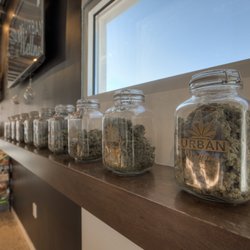 Urban Wellness - Paradise