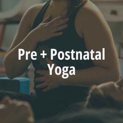 Zia Yoga & Wellness - https://www.ziayogawellness.com/classes