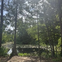 Atascocita Park