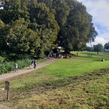 Averill Park - Parks Near Me - San Pedro, California