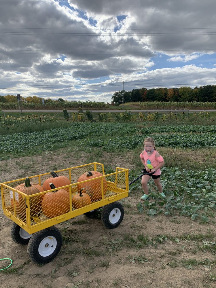 CAYUGA SUNRISE FARM 9737 NY96, Trumansburg, New York CSA Phone