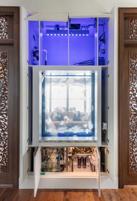 Jellyfish Art by null