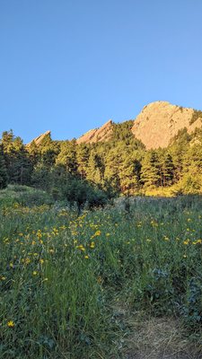 Flatirons by null