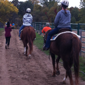 Brighton Recreation Riding Stable - Horseback Riding Near Me - Howell, Michigan