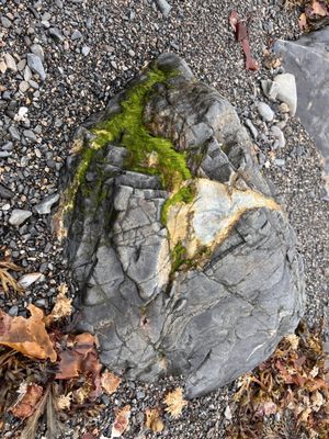 Owls Head State Park by null