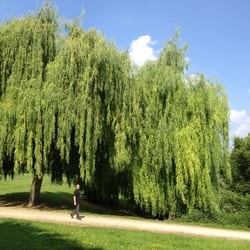 Lohsepark