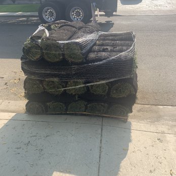 The Sod Shop - Pallet 460ft of Delta 90/10 2x5 - Nurseries & Gardening Near Me - Martinez, California The Sod Shop - Pallet 460ft of Delta 90/10 2x5 - Nurseries & Gardening Near Me - Martinez, California