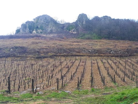 Domaine Jean-François Ganevat by null