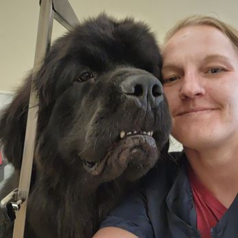 Bestfriends pets spaw - Pet Groomers Near Me Bestfriends pets spaw - Pet Groomers Near Me