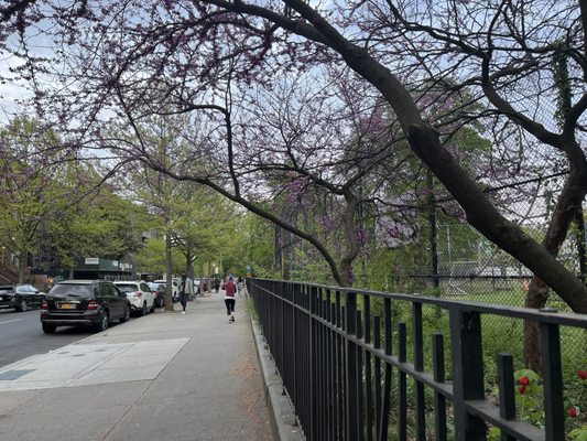 Herbert Von King Park by null