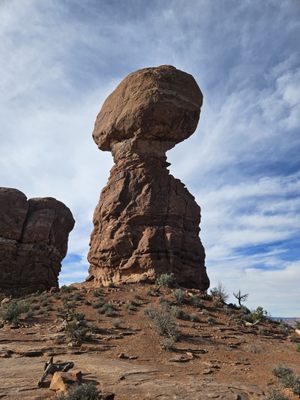 Arches National Park by null