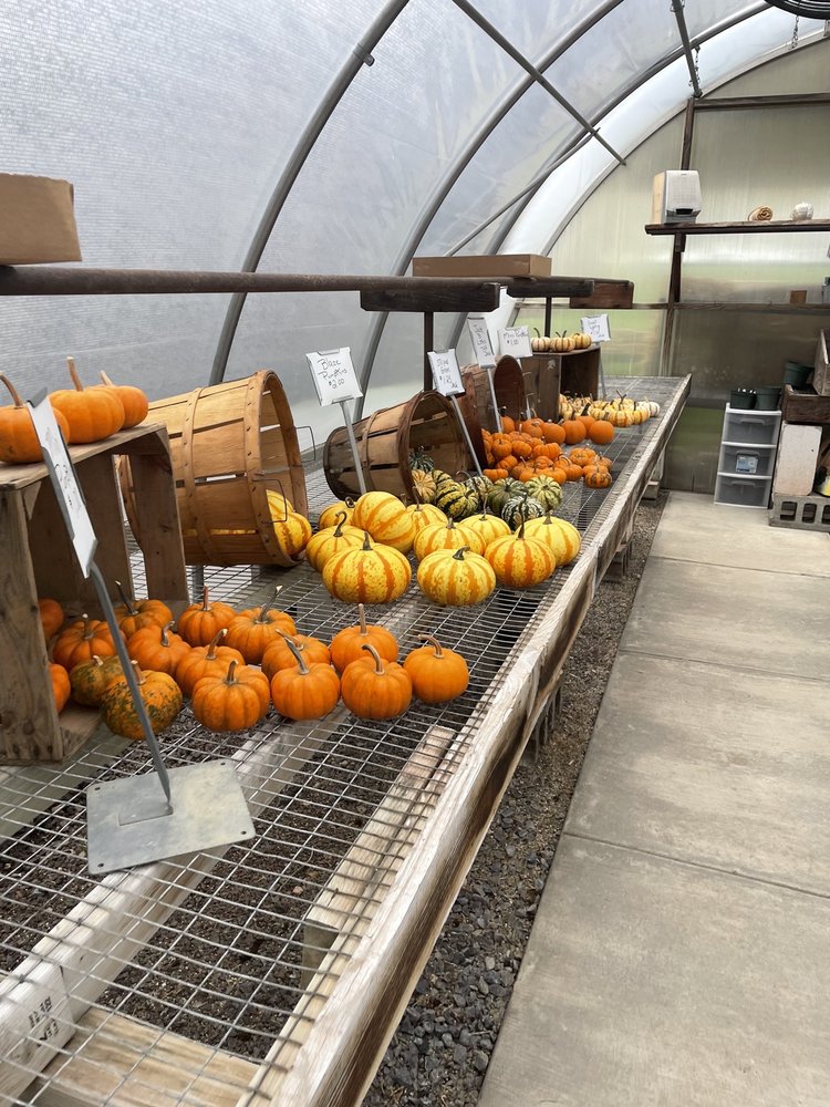 EVE’S GARDEN near 3590 Blue Rock Rd, Lancaster, Pennsylvania 13