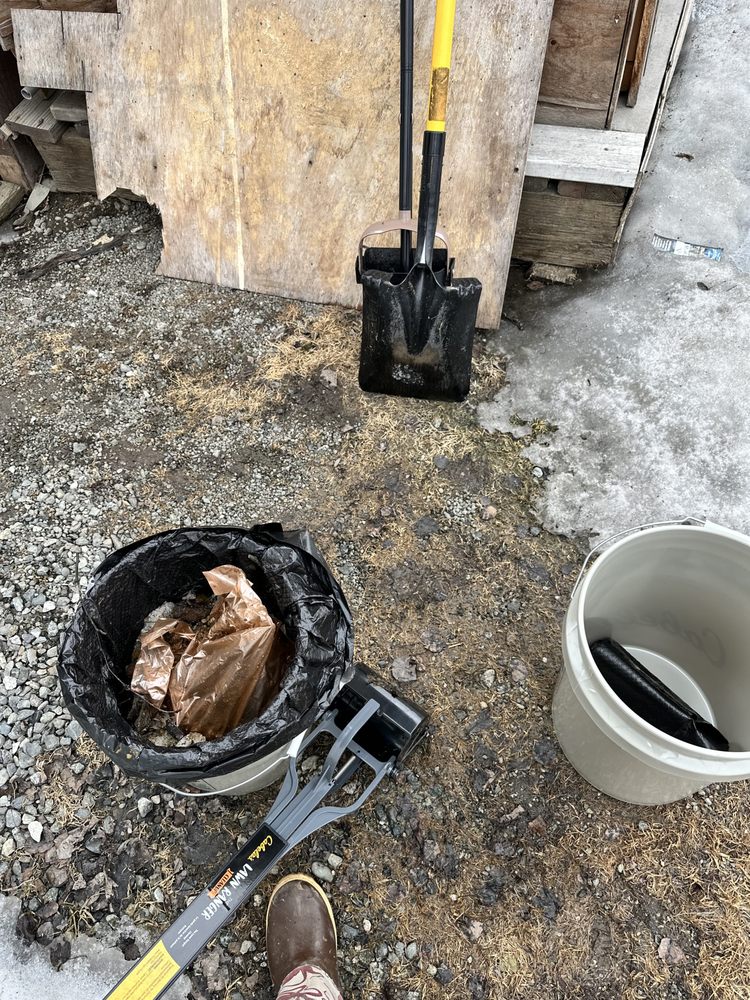 Slide of Arctic Eagle Property Maintenance