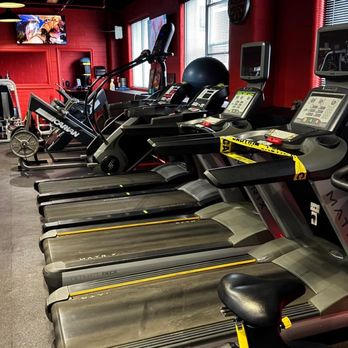 Fitness Gallery - Trainers Near Me - Brooklyn, New York Fitness Gallery - Trainers Near Me - Brooklyn, New York