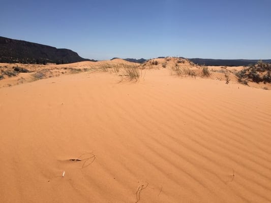 Coral Pink Sand Dunes State Park by null