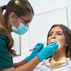 Peter Liaros, DDS