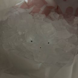 Got ice from Dunking Donuts in Highland on Kennedy Ave. The new one. And they had black Mold. Watch your iced drinks people. Got ice from Dunking Donuts in Highland on Kennedy Ave. The new one. And they had black Mold. Watch your iced drinks people.