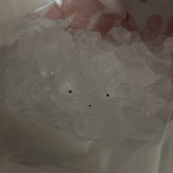 Dunkin' - Got ice from Dunking Donuts in Highland on Kennedy Ave. The new one. And they had black Mold. Watch your iced drinks people.