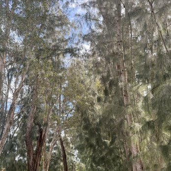 Wolf Lake Park - Hiking Trail - Parks Near Me - Davie, Florida