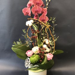 Florum Flowers - Decorated orchid plant