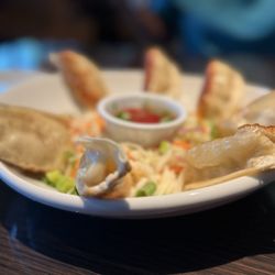 Miller's Ale House - Pan Fried potsticker