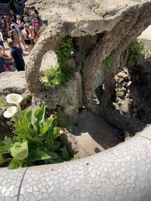 Patti Barry Querusio - Domain Realty