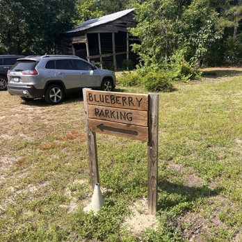 Berry Hill Farm - Easy parking. - Farmers Market Near Me - Lexington, South Carolina