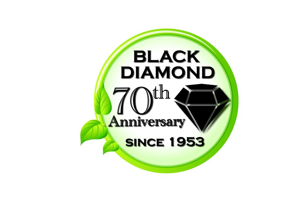 BLACK DIAMOND Updated June 2024 12320 Eckel Junction Rd, Perrysburg