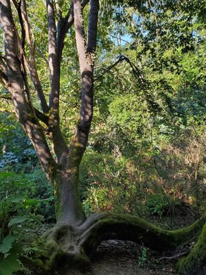 Carkeek Park by null