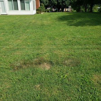 Dump Your Junk - My property line ( about 6 feet to my garden) - Dumpster Rental Near Me - Jacksboro, Tennessee Dump Your Junk - My property line ( about 6 feet to my garden) - Dumpster Rental Near Me - Jacksboro, Tennessee