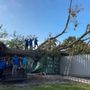 Prestige Tree Service