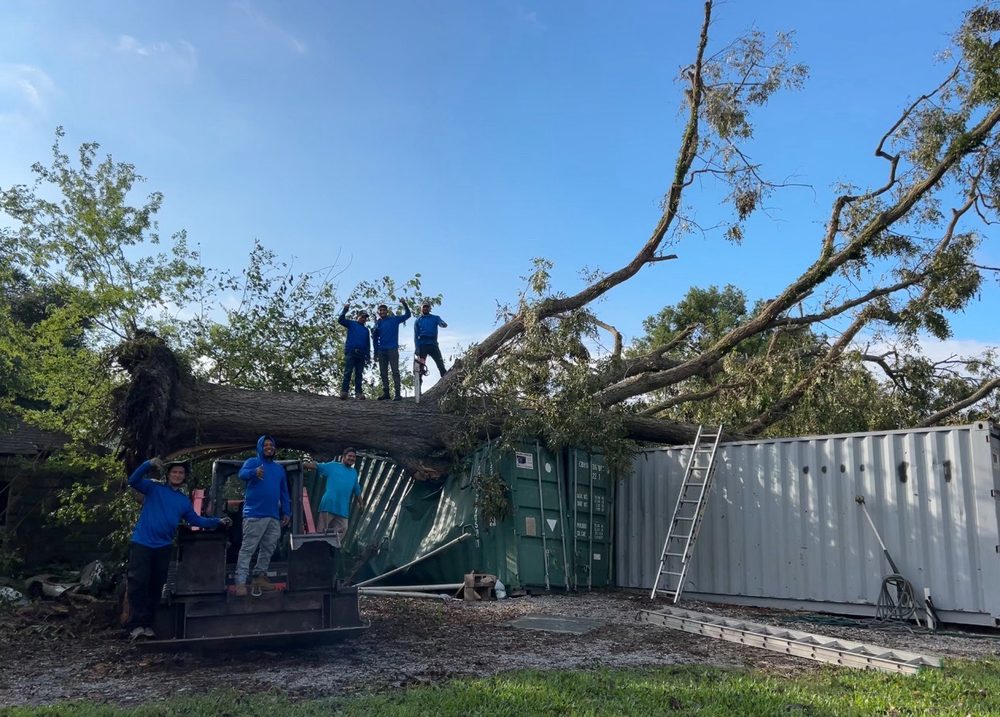 Prestige Tree Service - tree service in Houston, TX