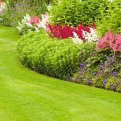 GreenCycle - GreenCycle's enriched topsoil is great for flowerbeds.