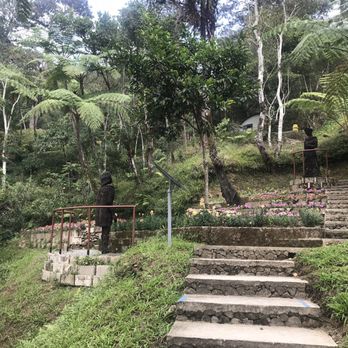 Mount Costa - Botanical Gardens Near Me - La Trinidad, BEN