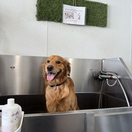 Enjoying a nice bath Enjoying a nice bath