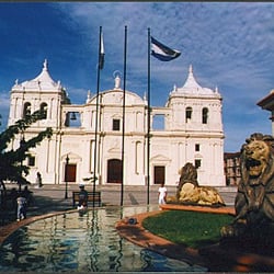 Leon Dorado Market Place