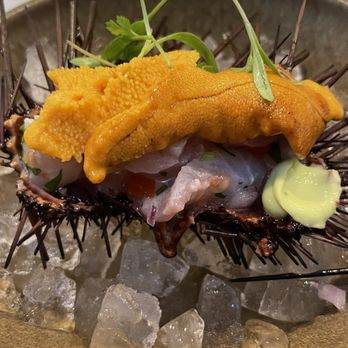 Holbox - Ceviche de Erizo con Corvina - Live santa barbara sea urchin and local white seabass ceviche - Latin American Near Me - Los Angeles, California