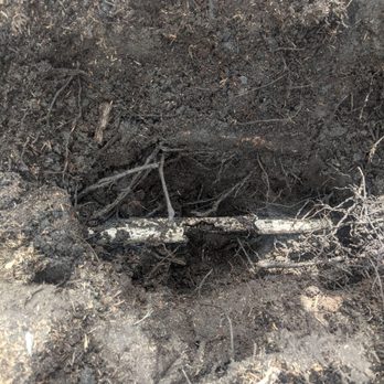 Poly Timber Tree Service - Sprinkler pipes damaged - Tree Services Near Me - Pico Rivera, California